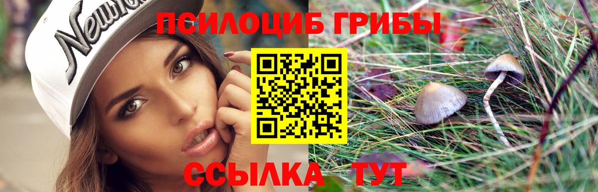Псилоцибиновые грибы Psilocybe  Вход с VPN  Ставрополь  Галлюциногенные грибы Psilocybe 