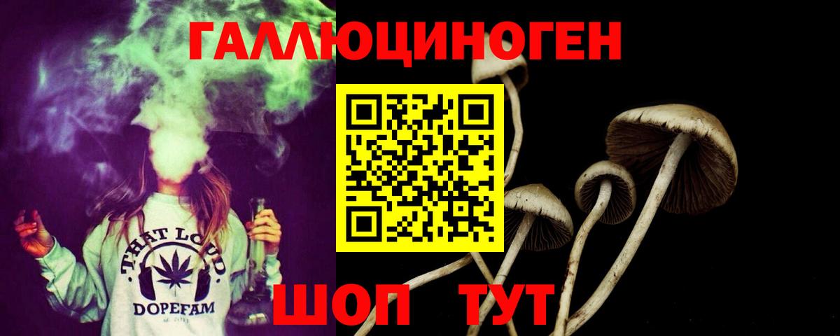 Галлюциногенные грибы ЛСД Ставрополь